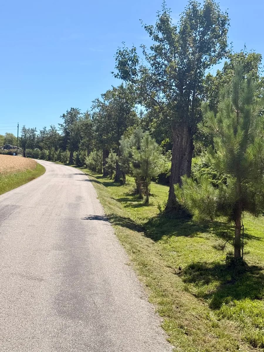 Immobilie kaufen in Schärding – 120 000 m² – Bild 3 von 19