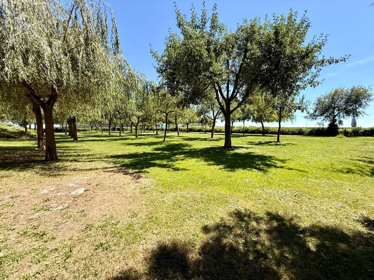 Immobilie kaufen in Schärding – 120 000 m² – Bild 9 von 19