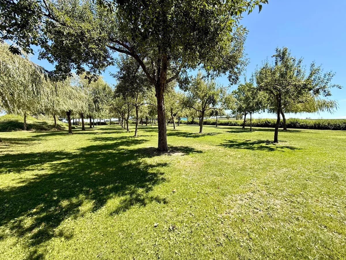 Immobilie kaufen in Schärding – 120 000 m² – Bild 12 von 19