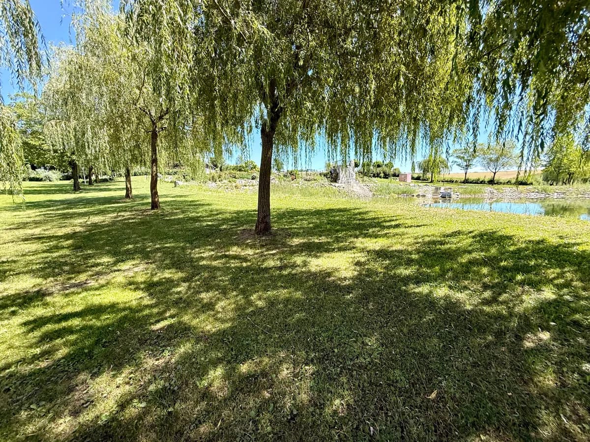 Immobilie kaufen in Schärding – 120 000 m² – Bild 13 von 19