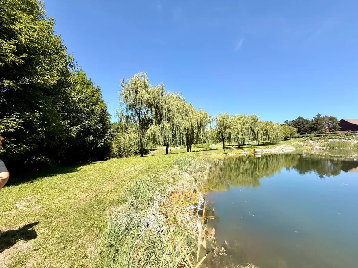 Immobilie kaufen in Schärding – 120 000 m² – Bild 16 von 19