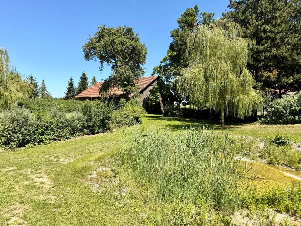 Immobilie kaufen in Schärding – 120 000 m² – Bild 17 von 19