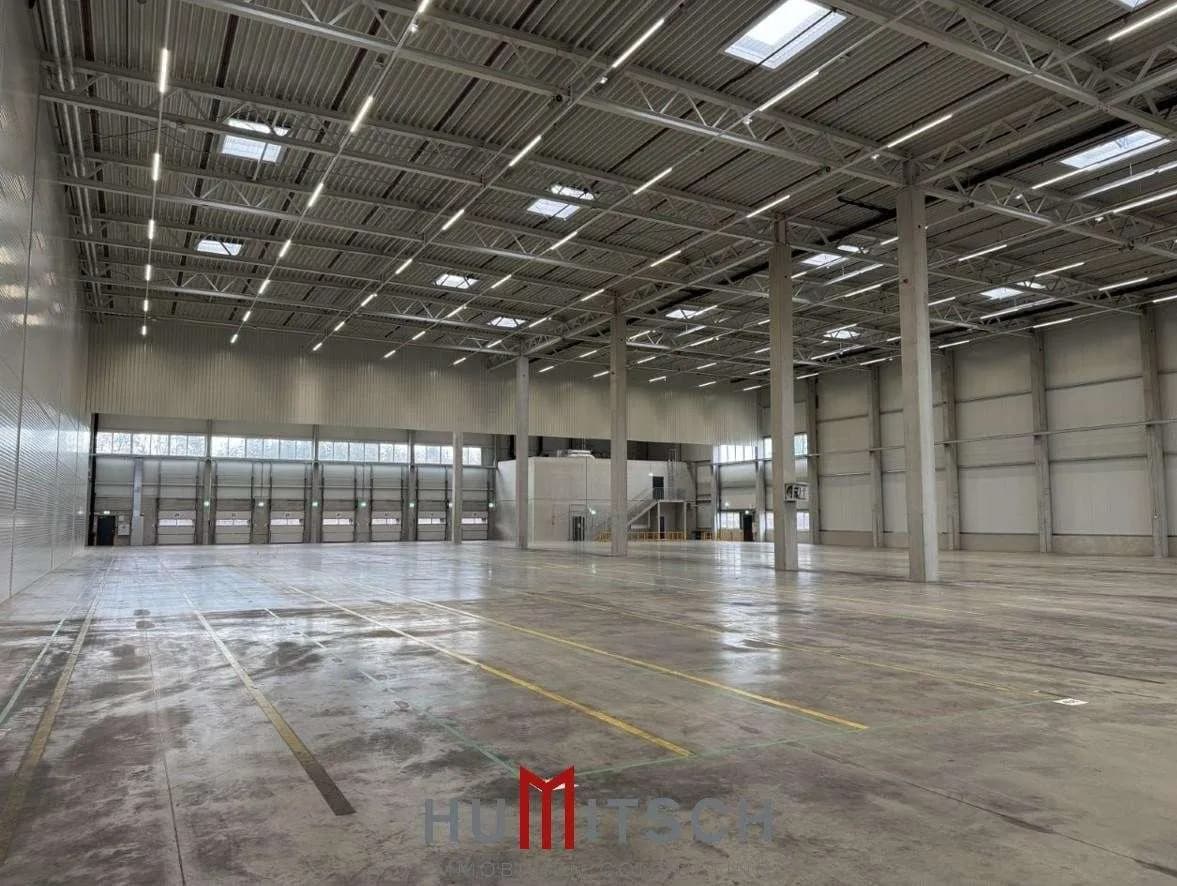 Gewerbeimmobilie mieten in Graz-Umgebung – 4 595 m² – Bild 4 von 7