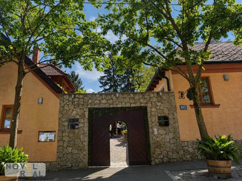 Grundstück kaufen in Wien – 798 m², € 1.100.000 – Bild 21 von 33