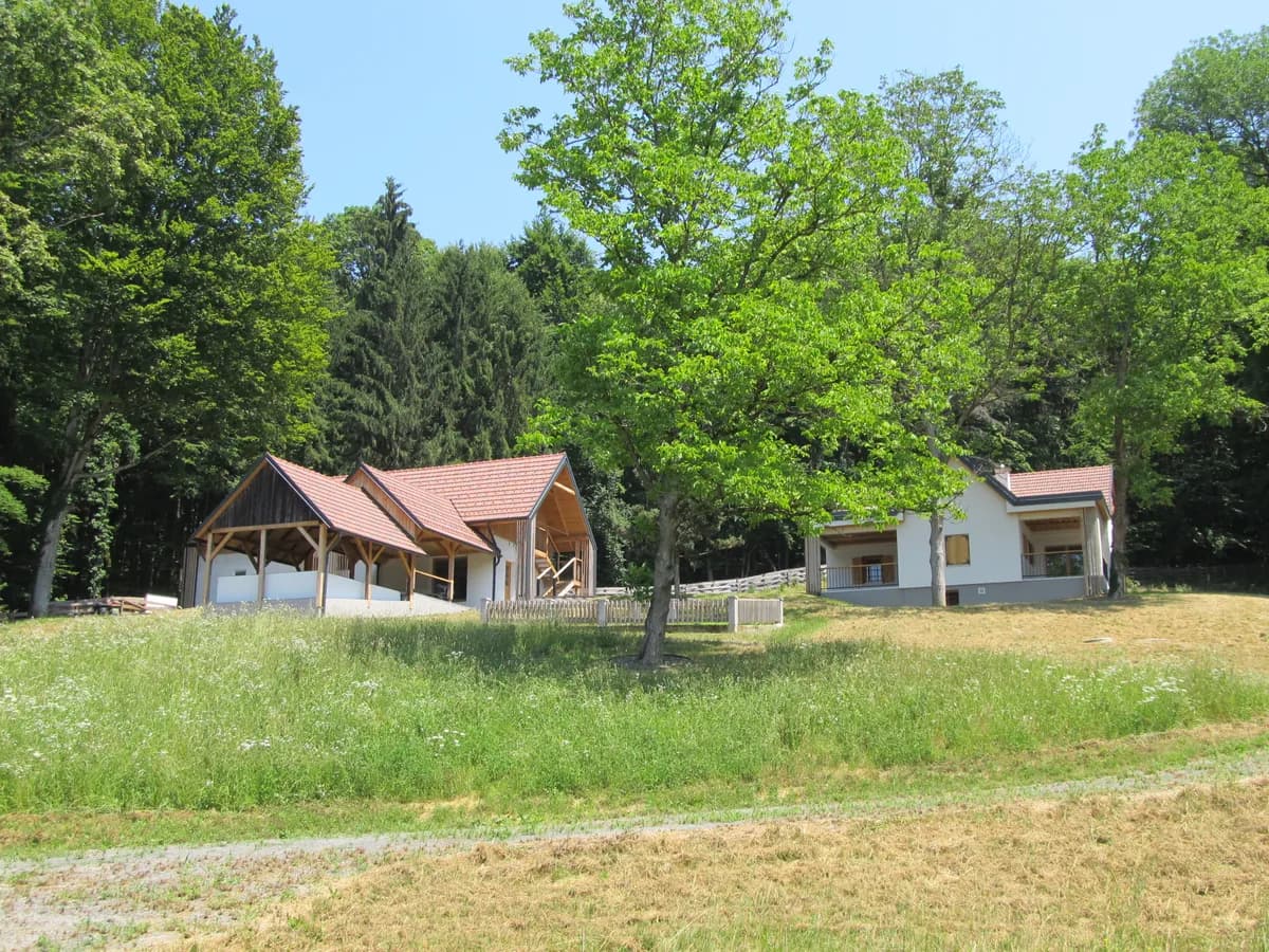 Haus kaufen in Südoststeiermark – 156 m², € 535.000