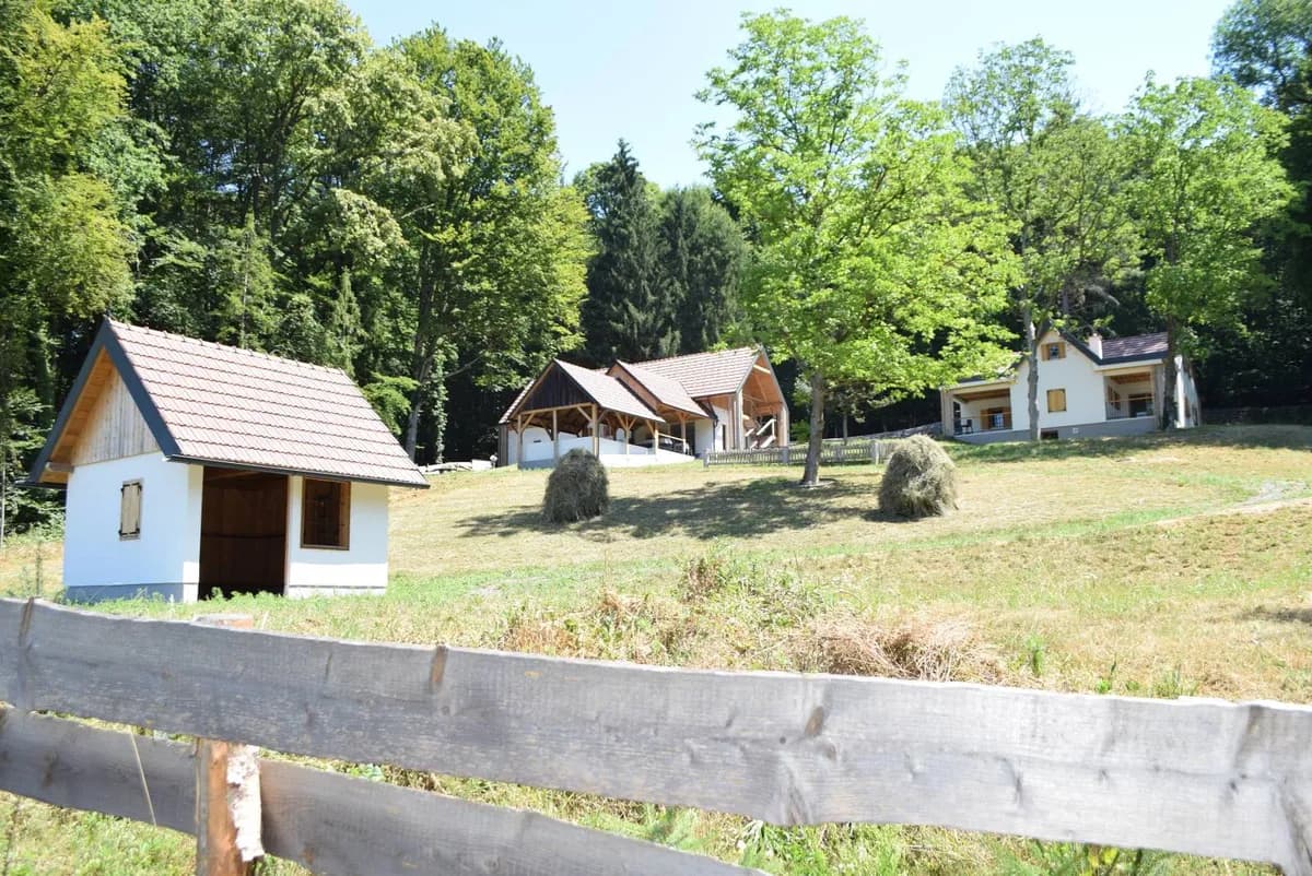 Haus kaufen in Südoststeiermark – 156 m², € 535.000 – Bild 2 von 65