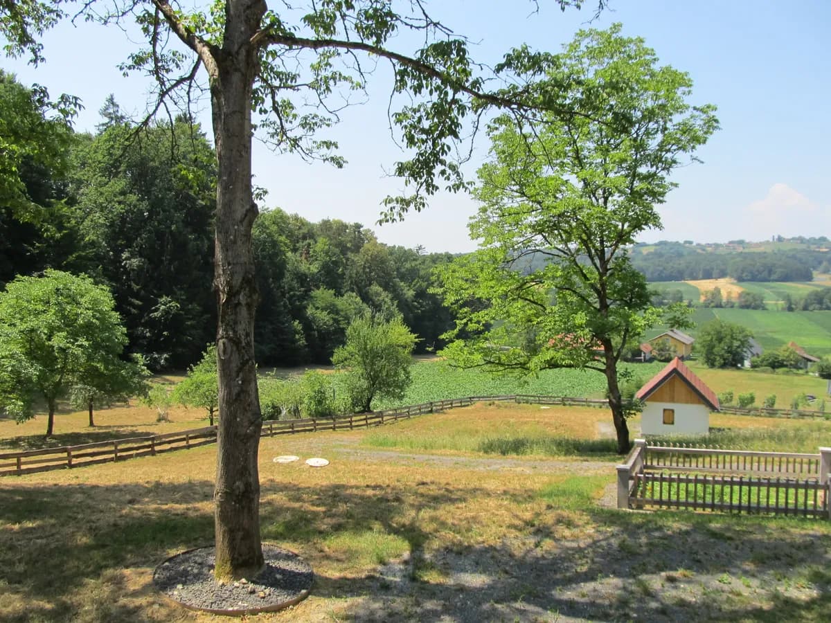 Haus kaufen in Südoststeiermark – 156 m², € 535.000 – Bild 8 von 65