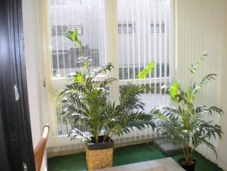 2-Zimmer-Wohnung mieten in Villach – 55 m², € 835 – Bild 6 von 17