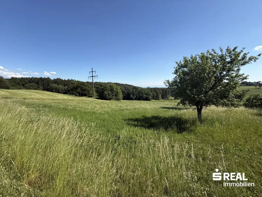 Grundstück kaufen in Freistadt – 145 214 m², € 340.000
