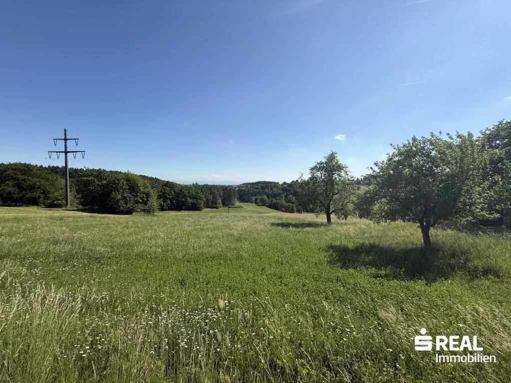 Grundstück kaufen in Freistadt – 145 214 m², € 340.000 – Bild 3 von 4