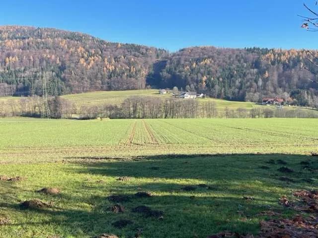 Grundstück kaufen in Graz-Umgebung – 1 700 m², € 240