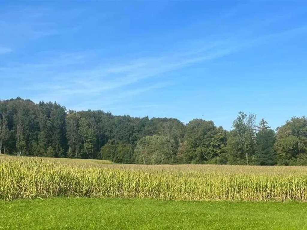 Immobilie kaufen in Steyr – 50 000 m² – Bild 2 von 2