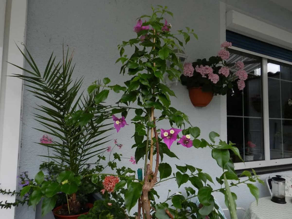 2-Zimmer-Immobilie kaufen in Villach Land – 43 m², € 185.000 – Bild 9 von 12