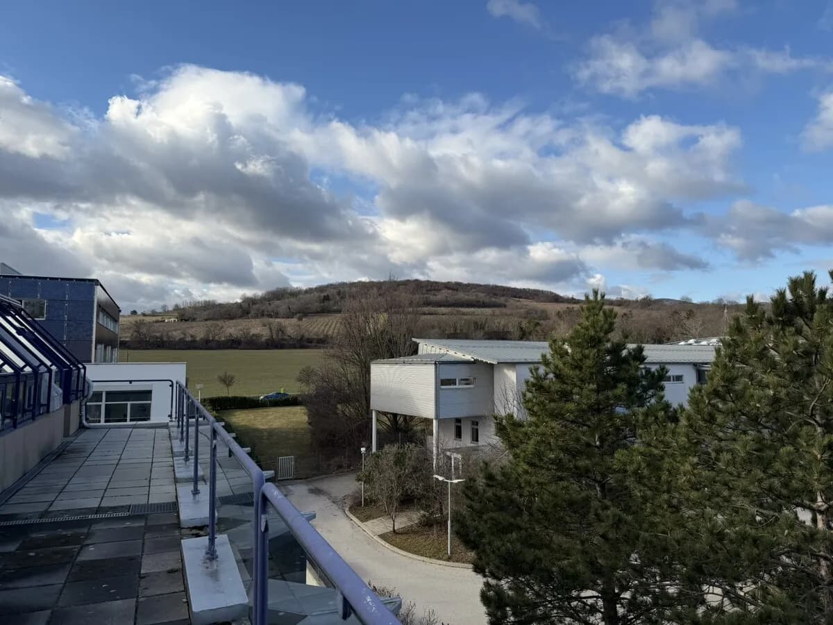 Gewerbeimmobilie mieten in Mödling – 8 523 m², € 7 – Bild 2 von 5