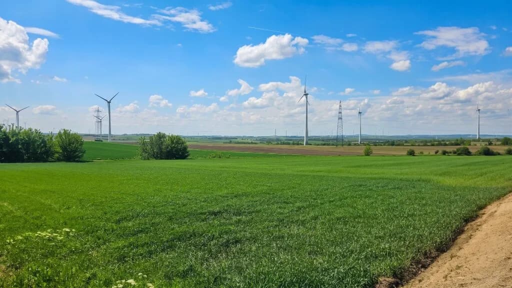 7-Zimmer-Haus kaufen in Mistelbach – 278 m², € 199.900 – Bild 20 von 22