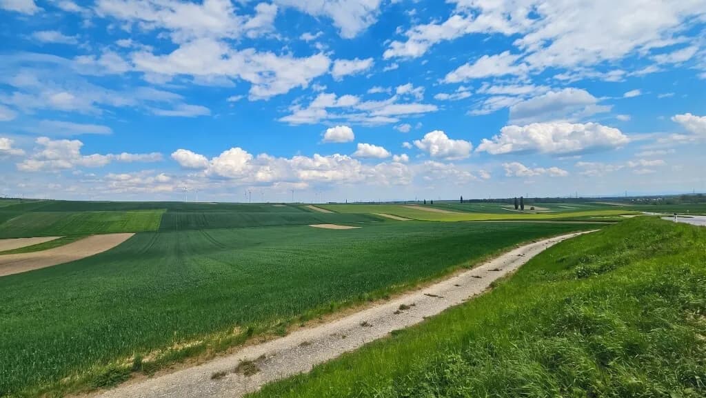 7-Zimmer-Haus kaufen in Mistelbach – 278 m², € 199.900 – Bild 22 von 22