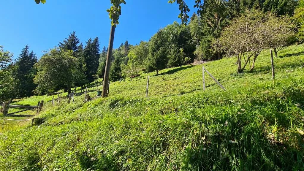 Grundstück kaufen in Villach Land – 260 m², € 800.000 – Bild 23 von 25