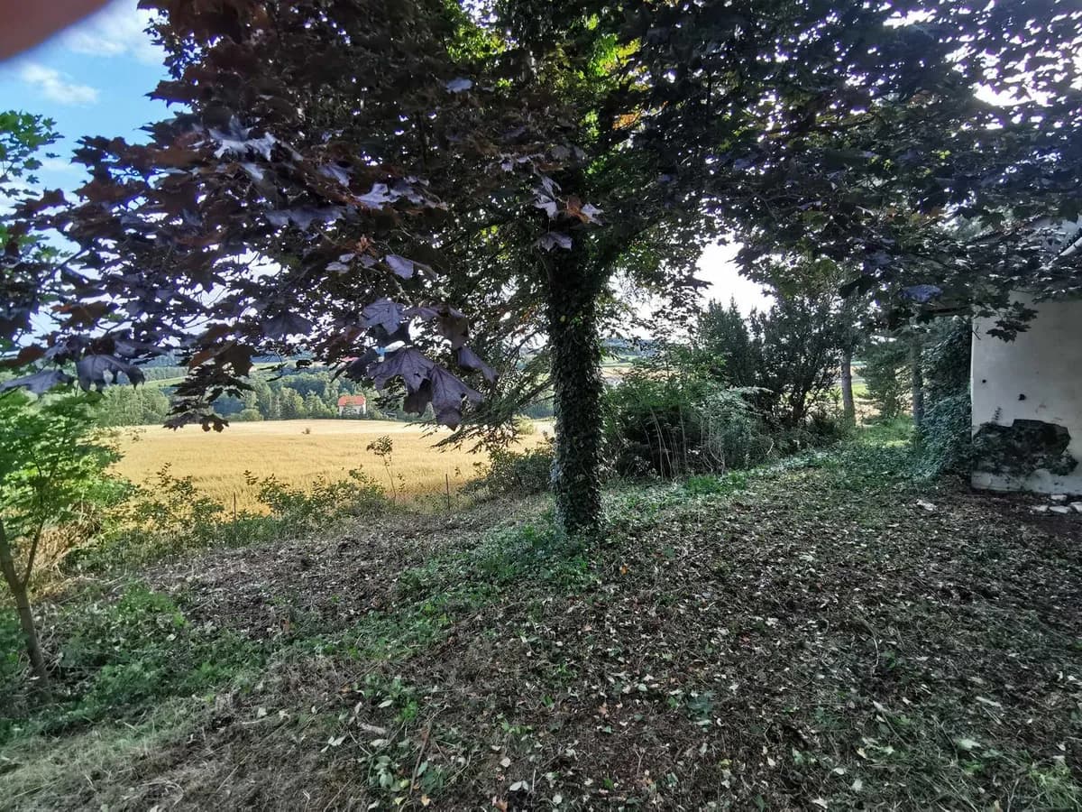 Grundstück kaufen in Krems Land – 2 587 m², € 148.000 – Bild 5 von 6