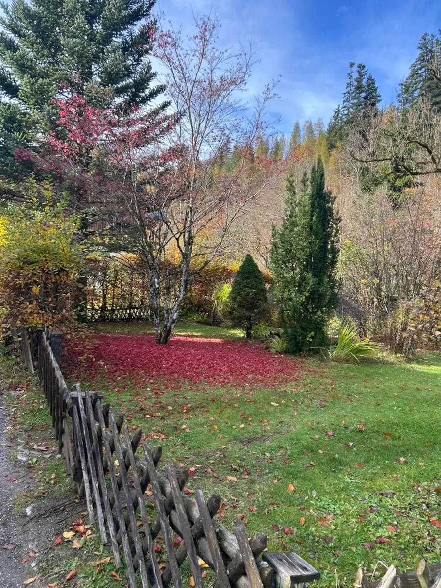 5-Zimmer-Haus mieten in Liezen – 142 m², € 1.750 – Bild 2 von 12