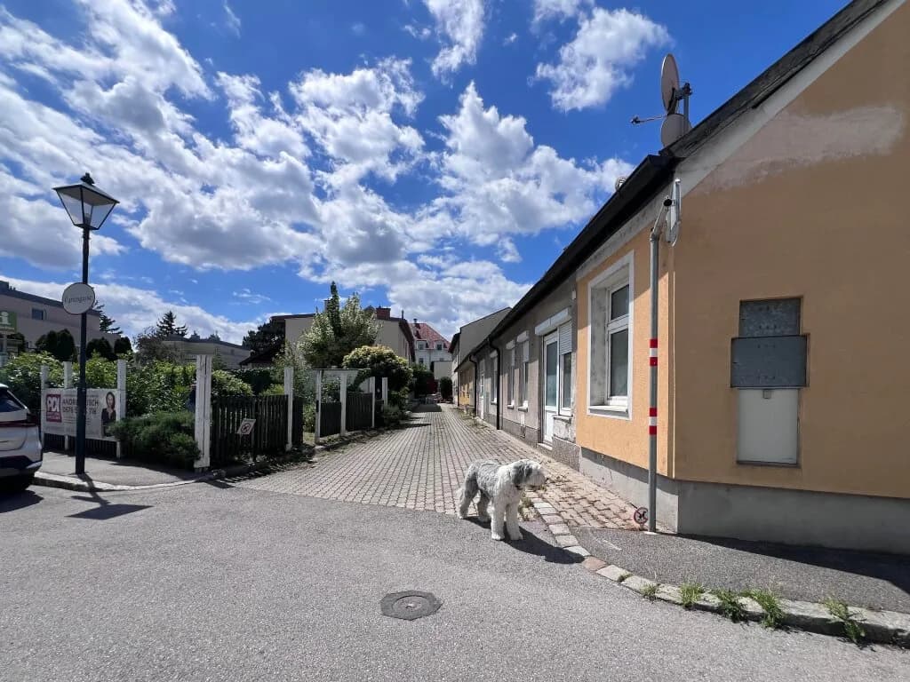 Haus kaufen in Baden – 154 m², € 349.000 – Bild 3 von 22