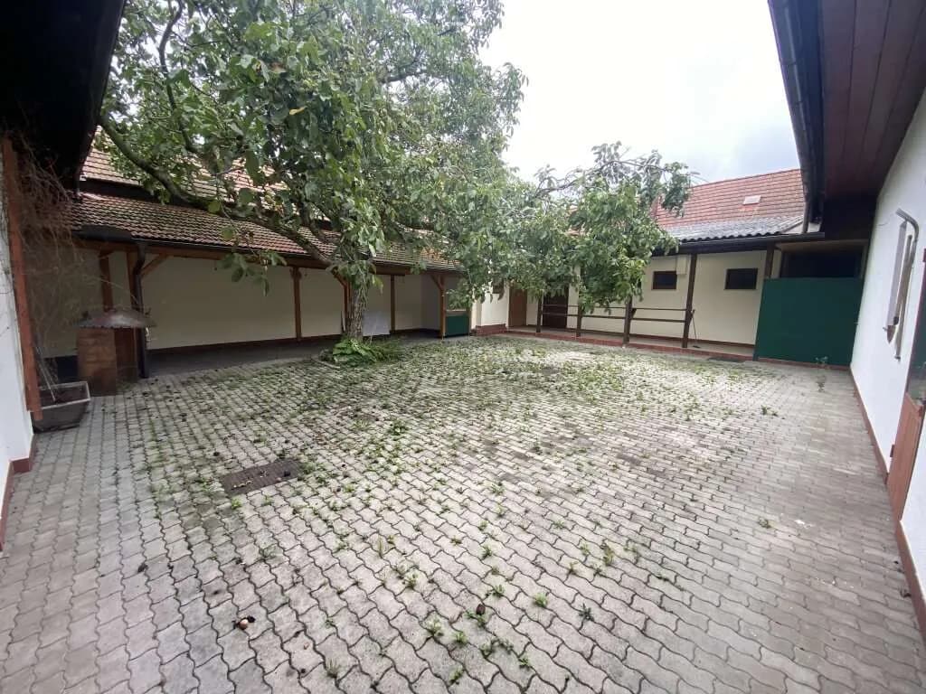 4-Zimmer-Gewerbeimmobilie mieten in Korneuburg – 150 m² – Bild 5 von 18