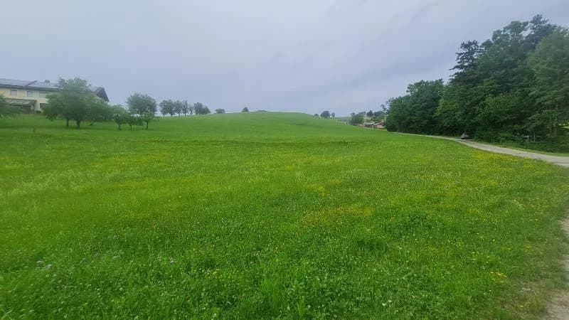 Grundstück kaufen in Amstetten – 1 023 m², € 99.800 – Bild 4 von 5