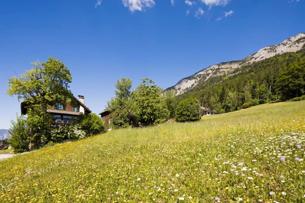 Haus kaufen in Liezen – 200 m² – Bild 8 von 16