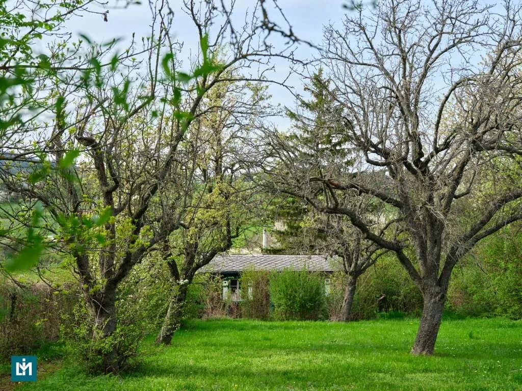 Grundstück kaufen in Mödling – 1 295 m², € 750.000 – Bild 5 von 11