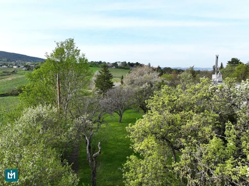 Grundstück kaufen in Mödling – 1 295 m², € 750.000 – Bild 8 von 11
