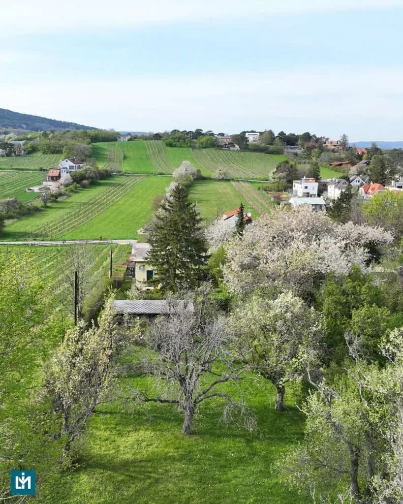 Grundstück kaufen in Mödling – 1 295 m², € 750.000 – Bild 9 von 11