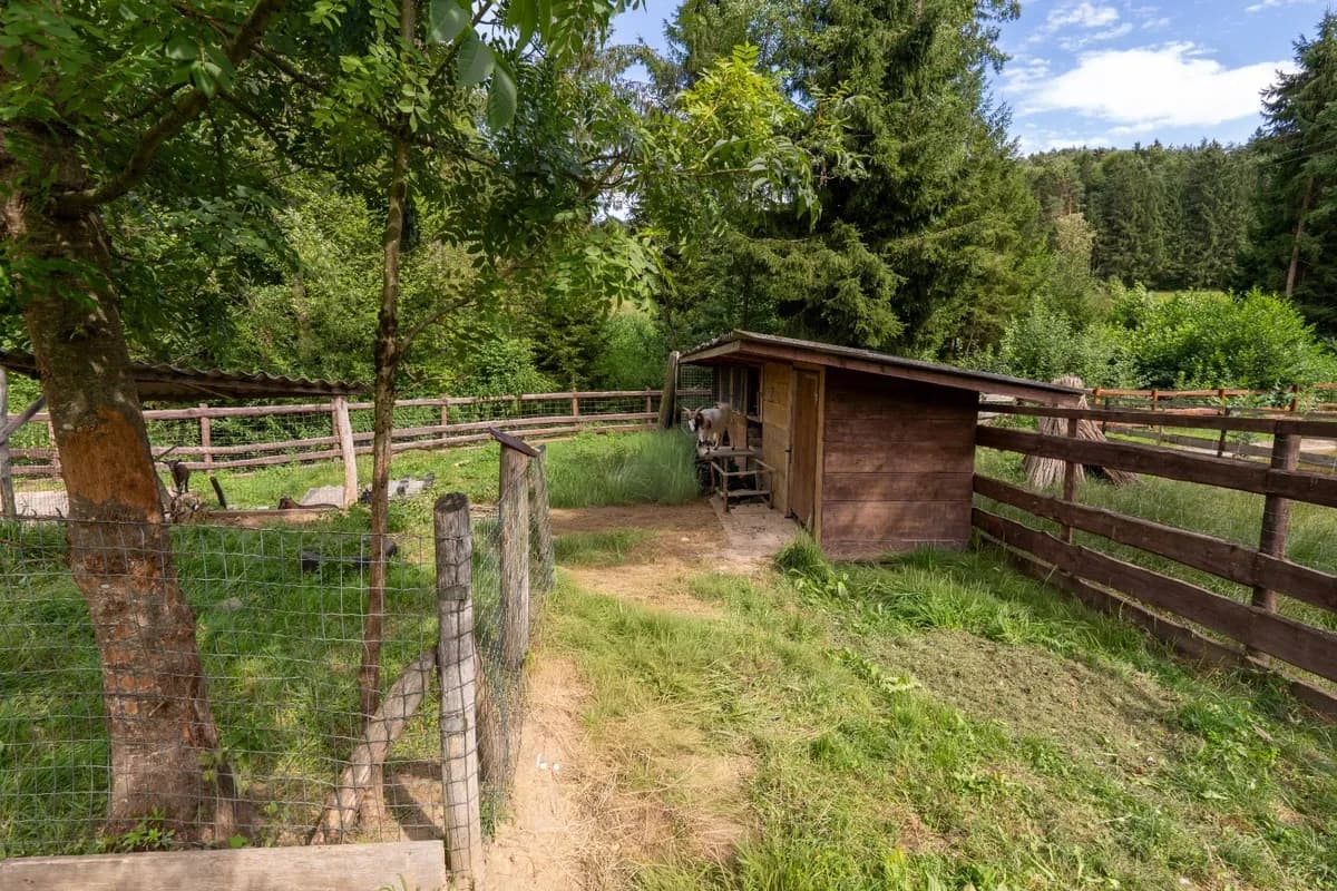 3-Zimmer-Haus kaufen in Graz-Umgebung – 90 m², € 700.000 – Bild 4 von 33