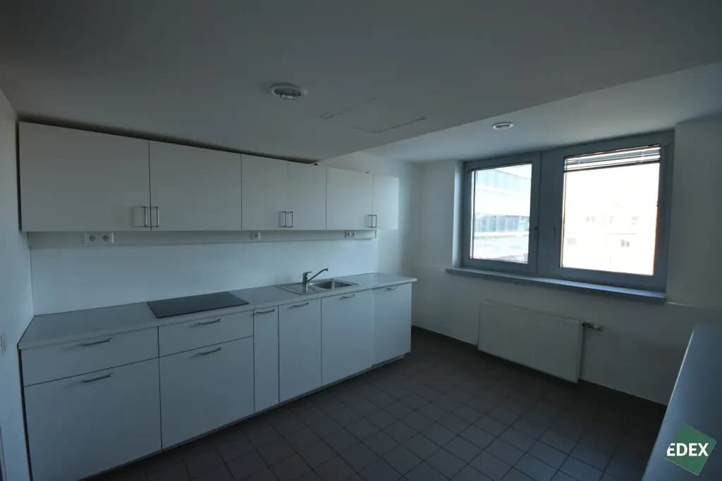Gewerbeimmobilie mieten in Wien – 309 m², € 19 – Bild 4 von 10