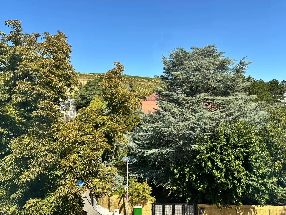2-Zimmer-Wohnung mieten in Wien – 63 m², € 1.990 – Bild 20 von 21