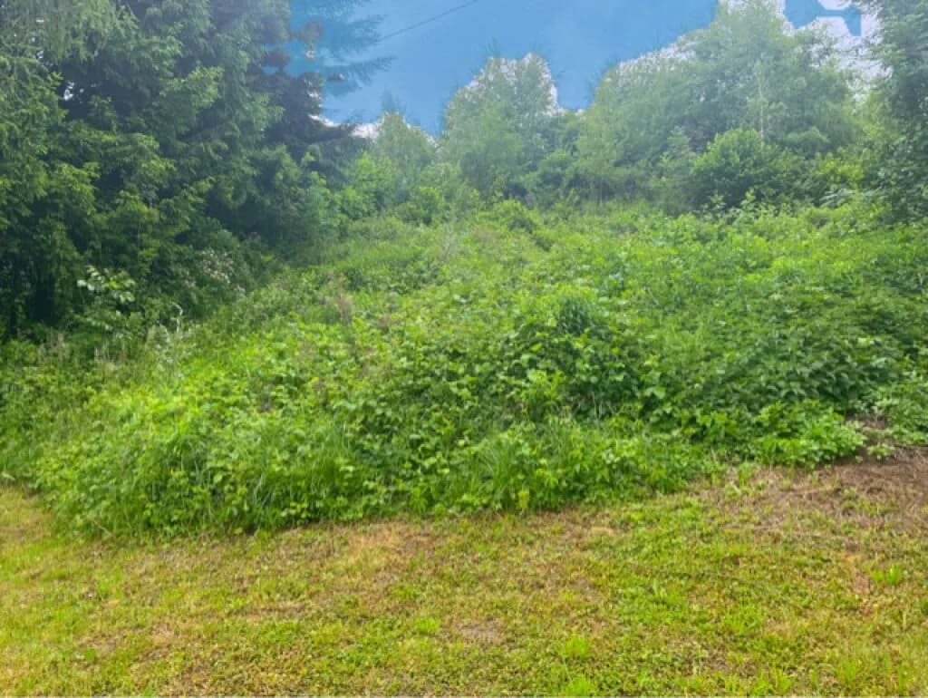 Grundstück kaufen in Villach – 2 140 m², € 479.000 – Bild 3 von 7
