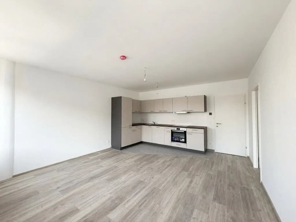 2-Zimmer-Wohnung mieten in Wien – 48 m², € 999 – Bild 2 von 11