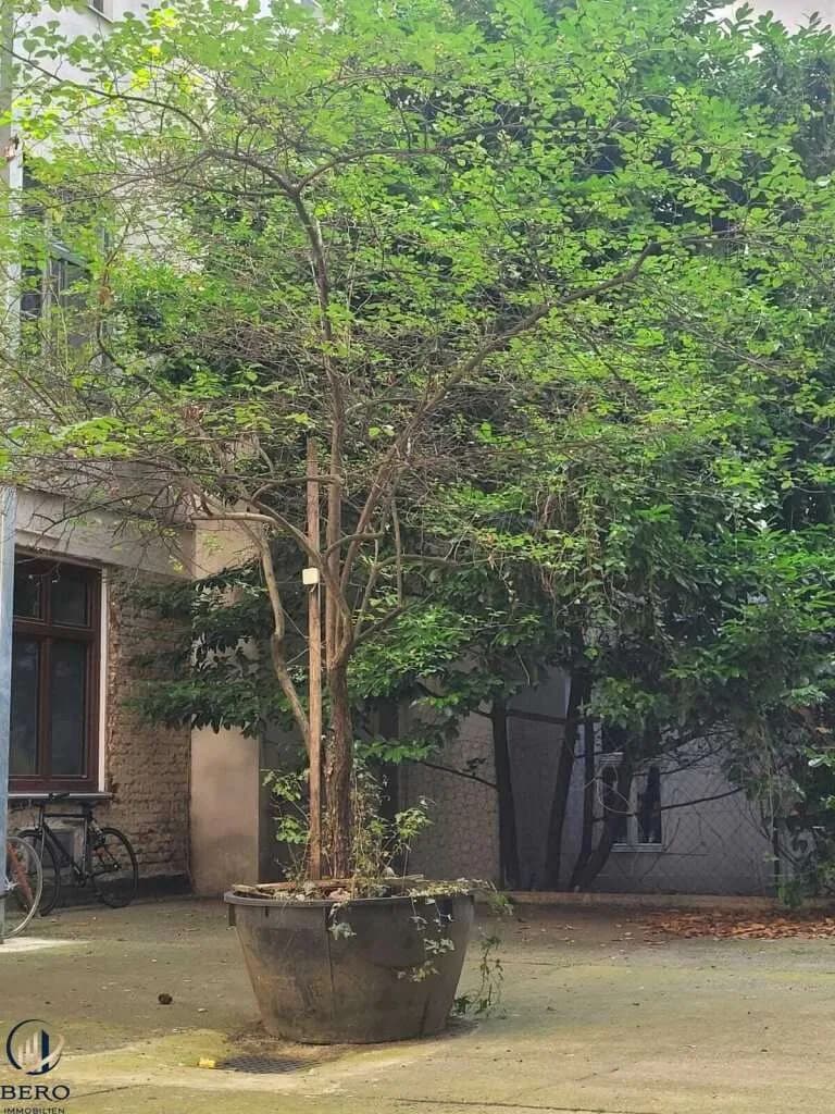 Gewerbeimmobilie kaufen in Wien – 116 m², € 1.400.000 – Bild 18 von 23