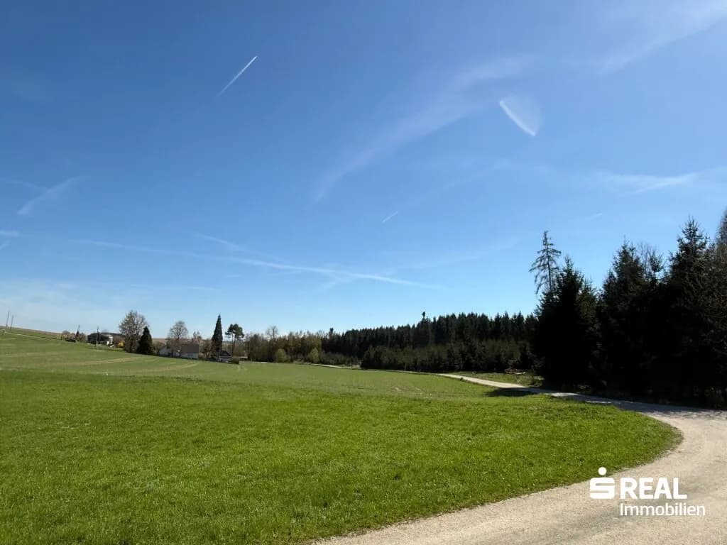 Grundstück kaufen in Wels-Land – 3 517 m², € 98.000