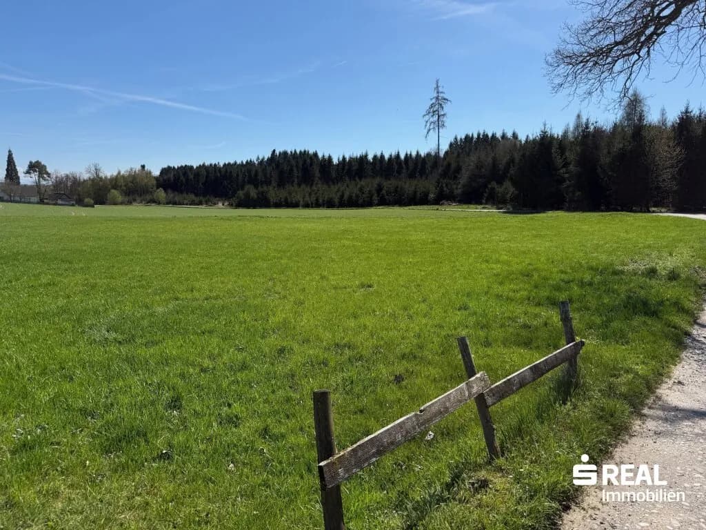 Grundstück kaufen in Wels-Land – 3 517 m², € 98.000 – Bild 2 von 2