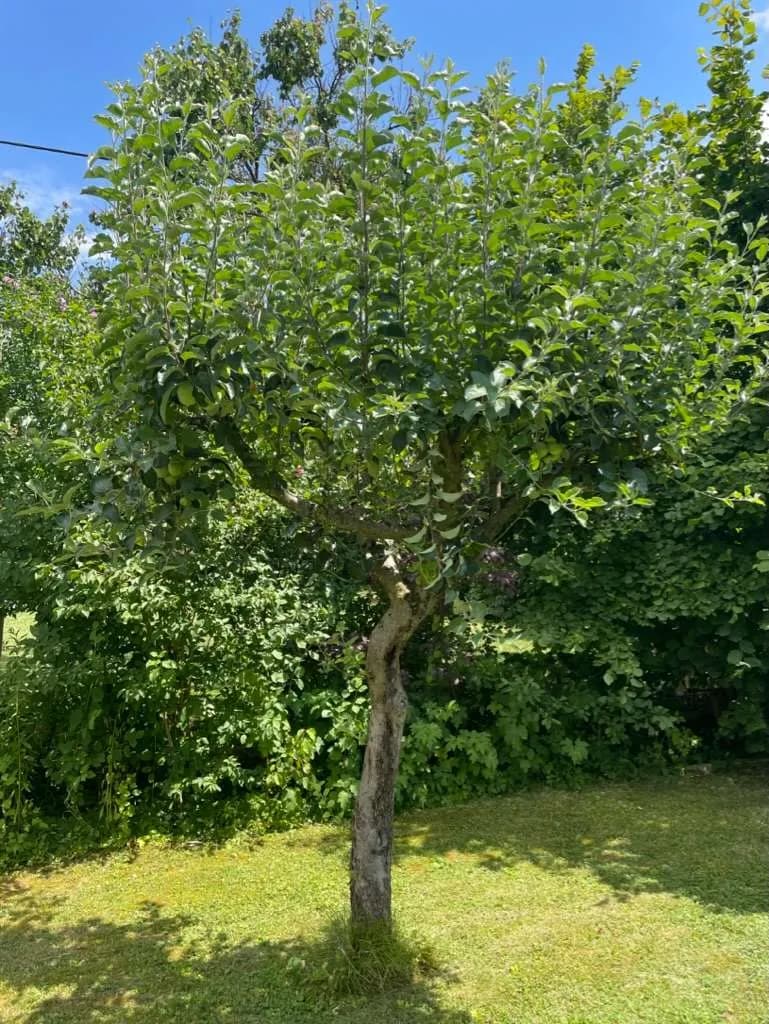 Haus kaufen in Linz Land – 80 m², € 389.000 – Bild 4 von 95