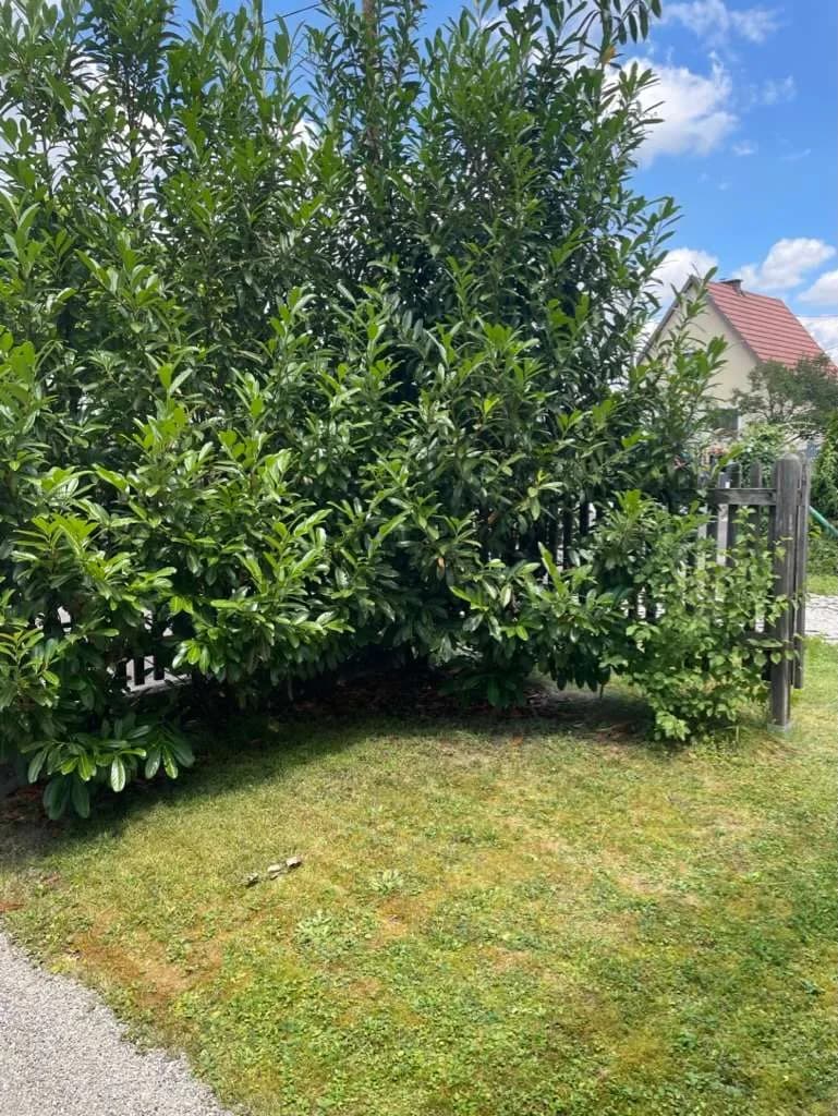 Haus kaufen in Linz Land – 80 m², € 389.000 – Bild 17 von 95