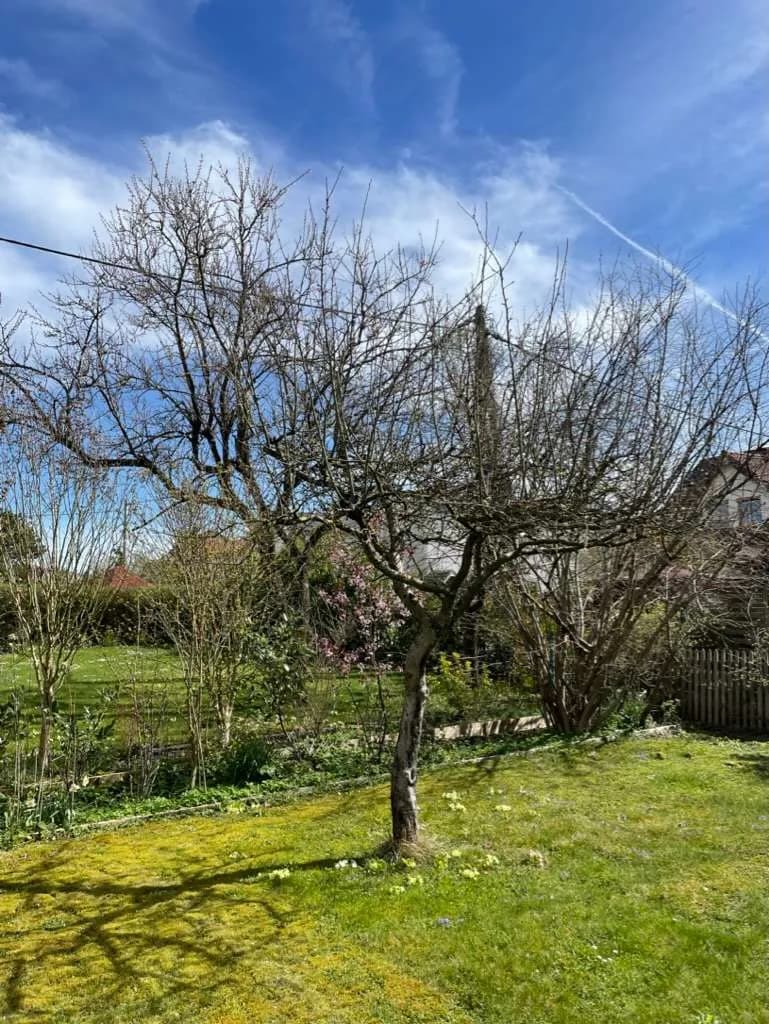 Haus kaufen in Linz Land – 80 m², € 389.000 – Bild 21 von 95
