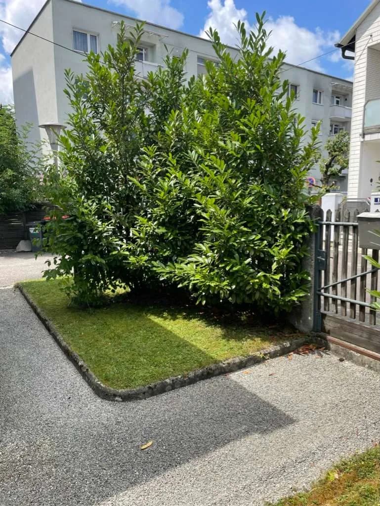 Haus kaufen in Linz Land – 80 m², € 389.000 – Bild 60 von 95