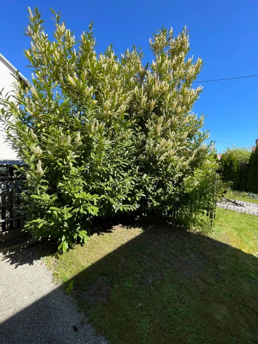 Haus kaufen in Linz Land – 80 m², € 389.000 – Bild 75 von 95