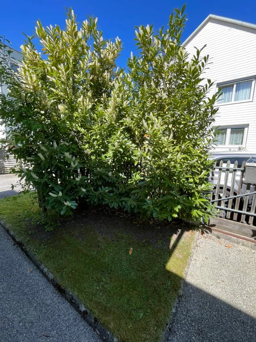 Haus kaufen in Linz Land – 80 m², € 389.000 – Bild 76 von 95
