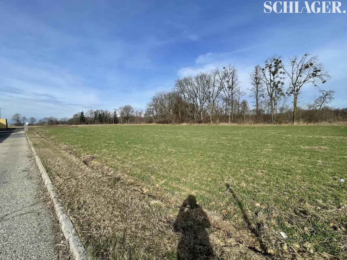 Gewerbeimmobilie kaufen in Südoststeiermark – 6 425 m², € 1.900.000 – Bild 4 von 8