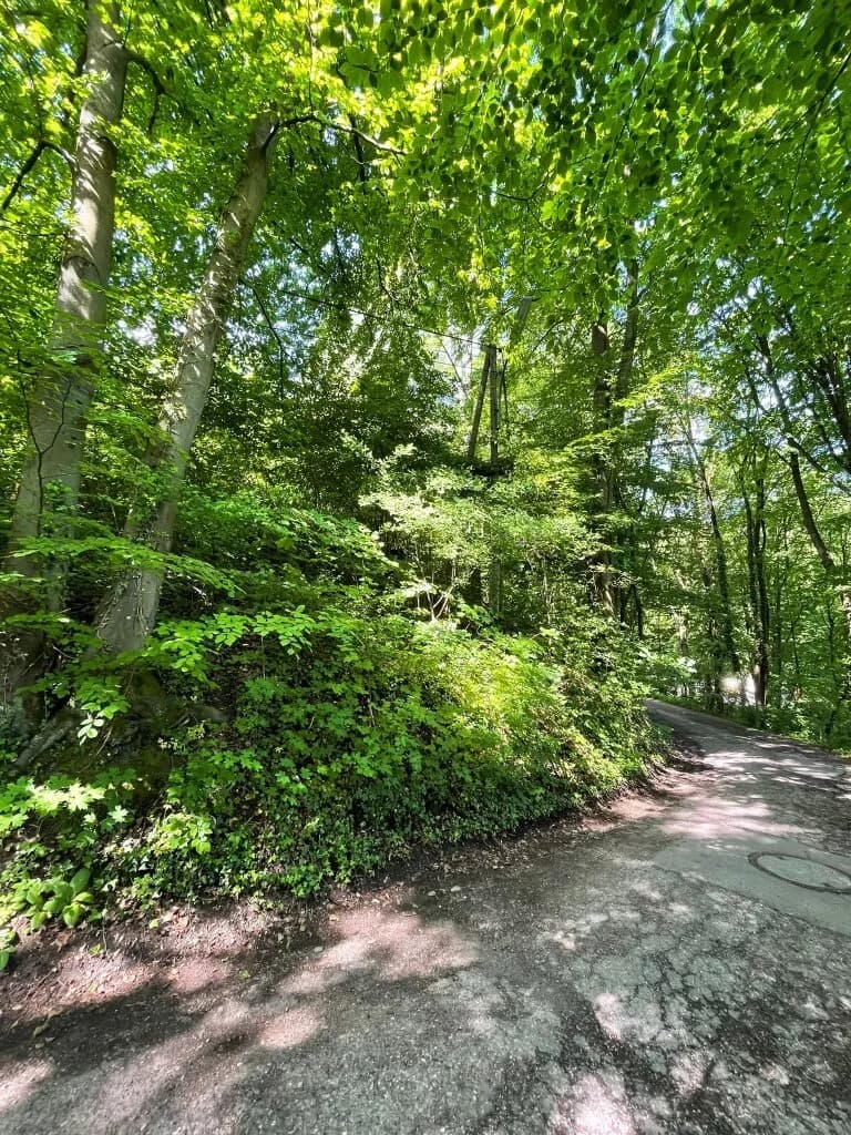 Grundstück kaufen in Wien – 1 400 m², € 249.000 – Bild 5 von 8