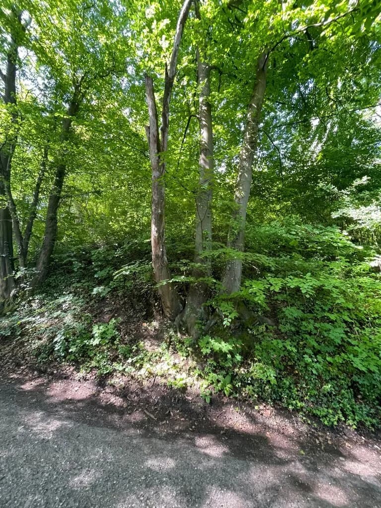 Grundstück kaufen in Wien – 1 400 m², € 249.000 – Bild 6 von 8