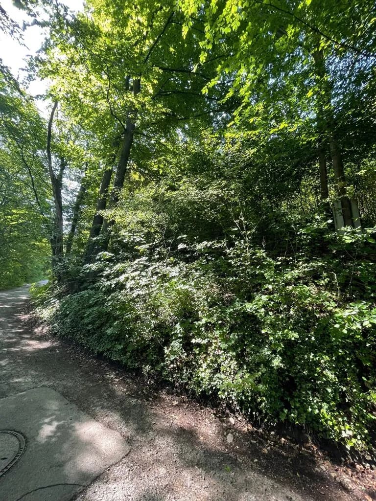 Grundstück kaufen in Wien – 1 400 m², € 249.000 – Bild 8 von 8