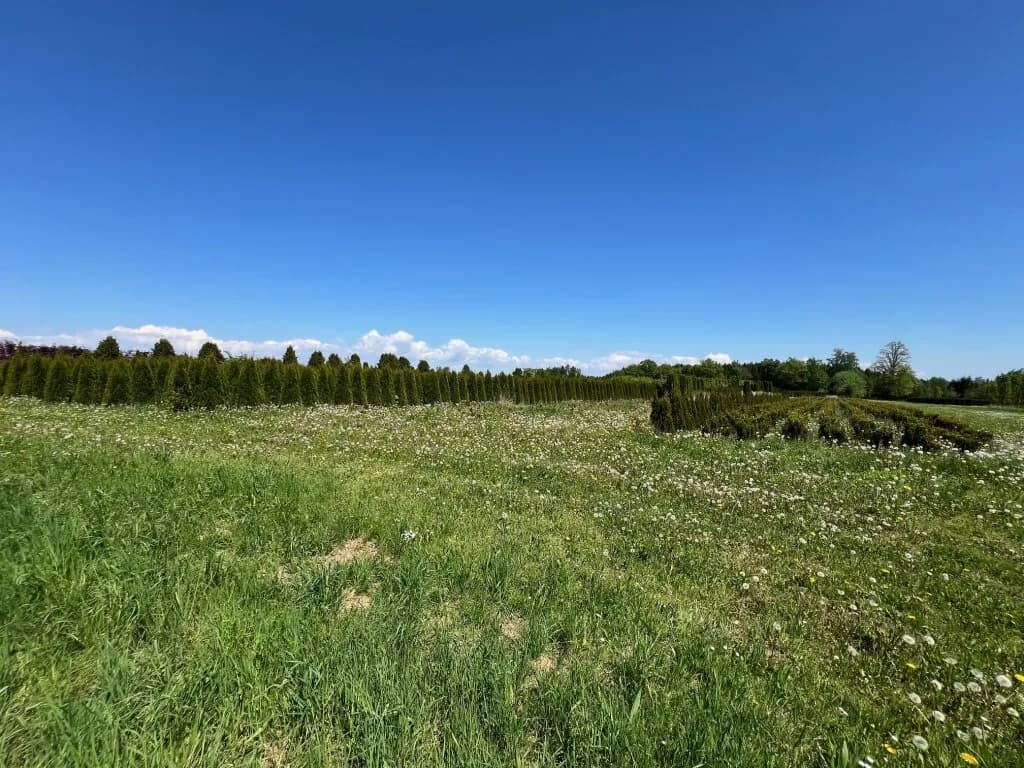 Immobilie kaufen in Wels-Land – 153 674 m² – Bild 1 von 3