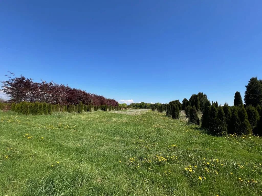 Immobilie kaufen in Wels-Land – 153 674 m² – Bild 2 von 3